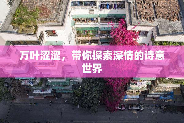 万叶涩涩，带你探索深情的诗意世界