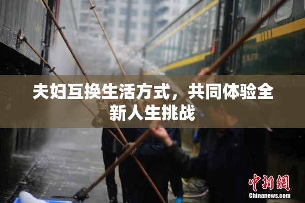 夫妇互换生活方式，共同体验全新人生挑战