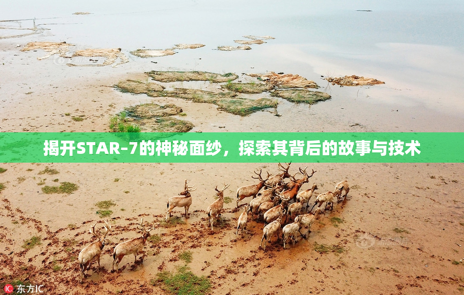 揭开STAR–7的神秘面纱，探索其背后的故事与技术