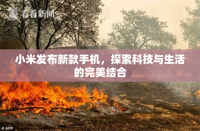 小米发布新款手机，探索科技与生活的完美结合