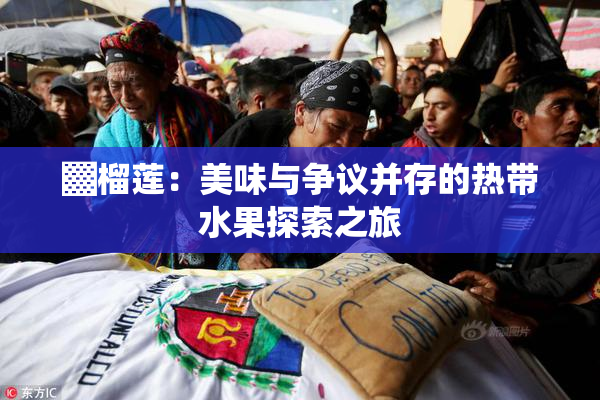 ▓榴莲：美味与争议并存的热带水果探索之旅