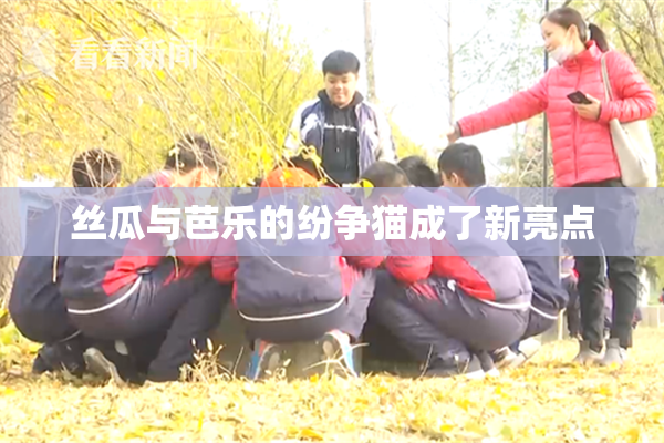 丝瓜与芭乐的纷争猫成了新亮点