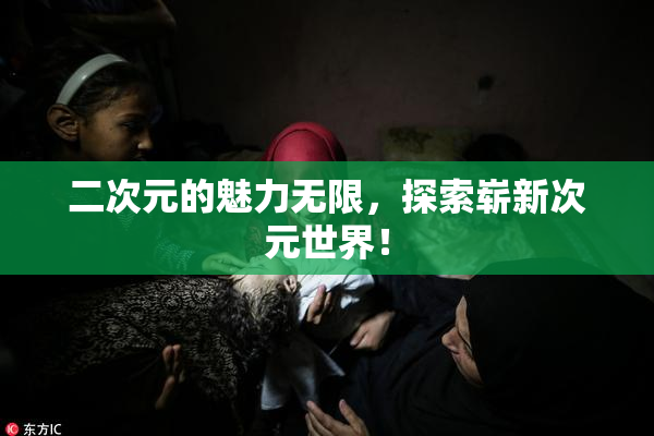 二次元的魅力无限，探索崭新次元世界！