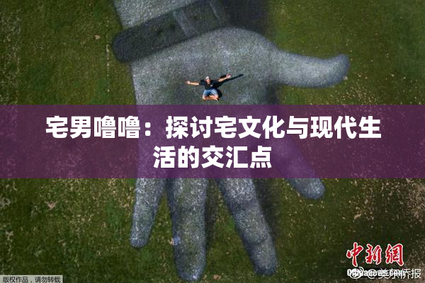 宅男噜噜：探讨宅文化与现代生活的交汇点