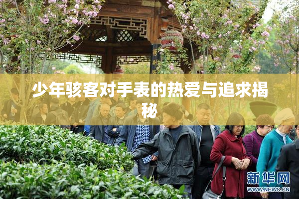少年骇客对手表的热爱与追求揭秘