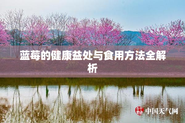 蓝莓的健康益处与食用方法全解析