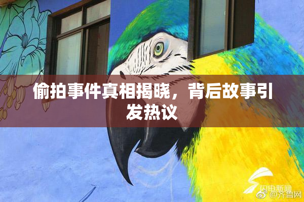 偷拍事件真相揭晓，背后故事引发热议