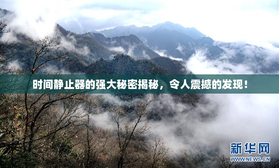 时间静止器的强大秘密揭秘，令人震撼的发现！
