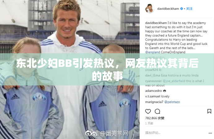 东北少妇BB引发热议，网友热议其背后的故事
