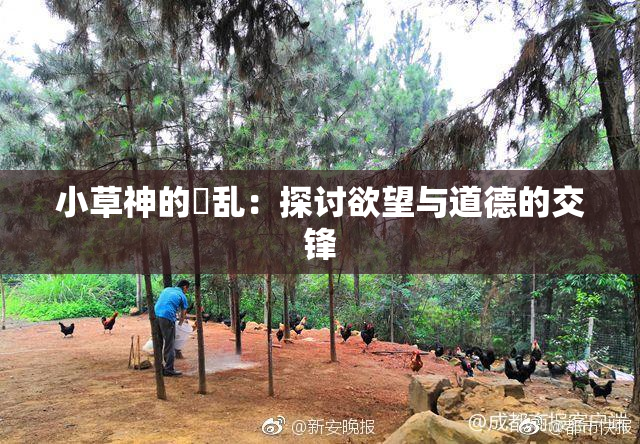小草神的婬乱：探讨欲望与道德的交锋