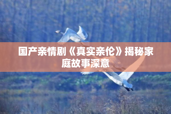 国产亲情剧《真实亲伦》揭秘家庭故事深意