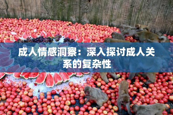 成人情感洞察：深入探讨成人关系的复杂性