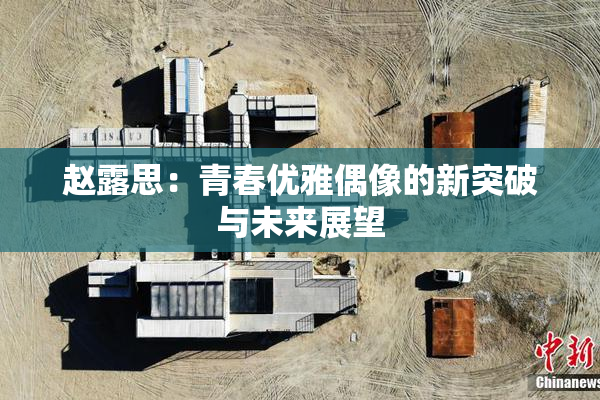 赵露思：青春优雅偶像的新突破与未来展望