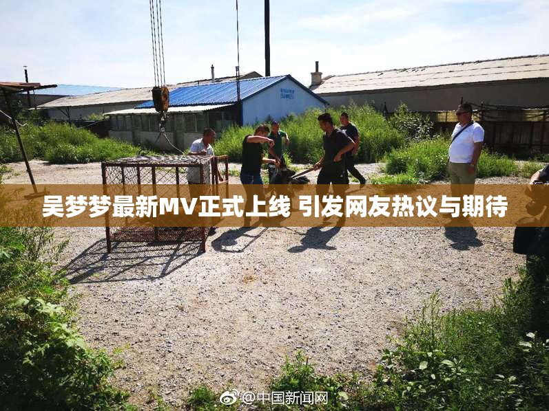 吴梦梦最新MV正式上线 引发网友热议与期待