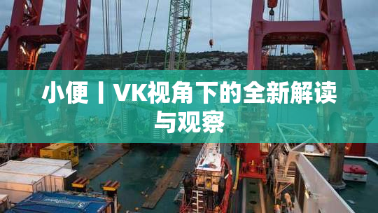 小便丨VK视角下的全新解读与观察