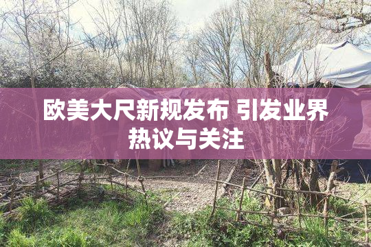 欧美大尺新规发布 引发业界热议与关注