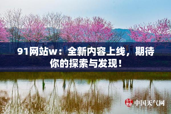 91网站w：全新内容上线，期待你的探索与发现！