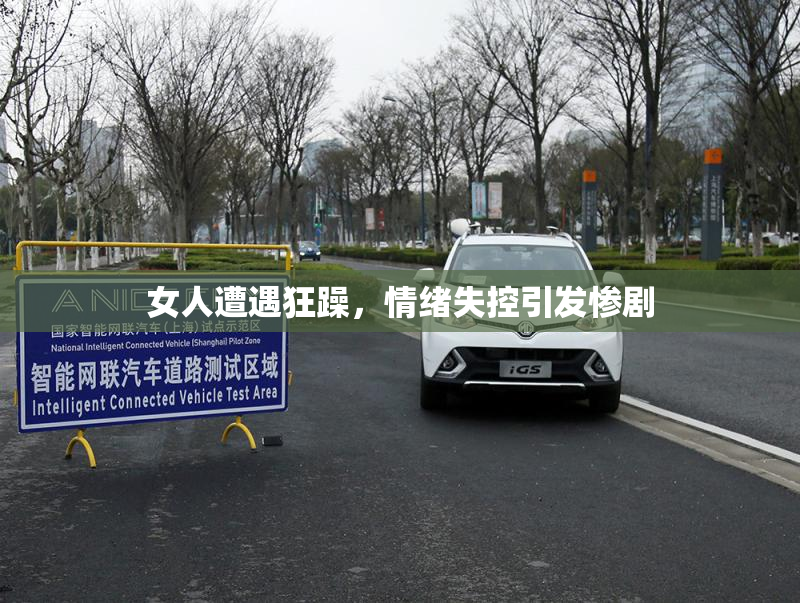女人遭遇狂躁，情绪失控引发惨剧
