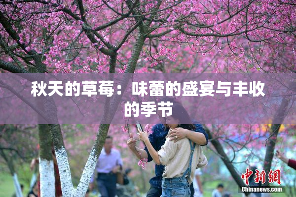 秋天的草莓：味蕾的盛宴与丰收的季节