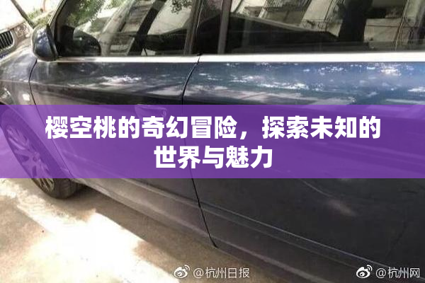樱空桃的奇幻冒险，探索未知的世界与魅力