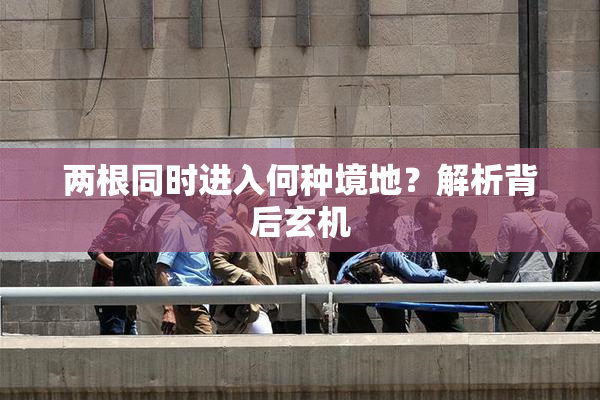两根同时进入何种境地？解析背后玄机