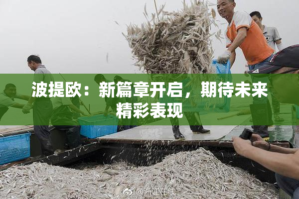 波提欧：新篇章开启，期待未来精彩表现