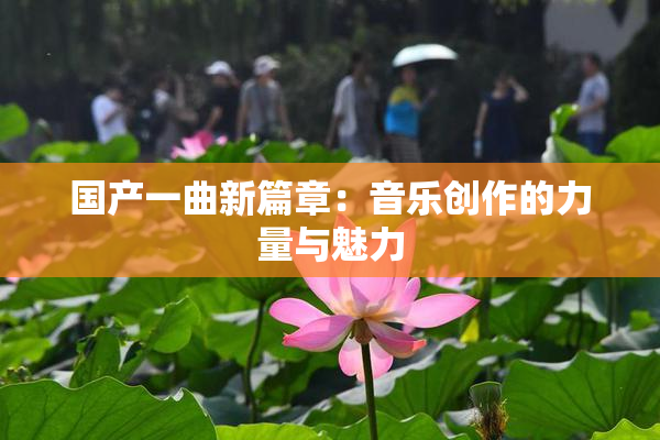 国产一曲新篇章：音乐创作的力量与魅力