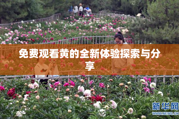 免费观看黄的全新体验探索与分享
