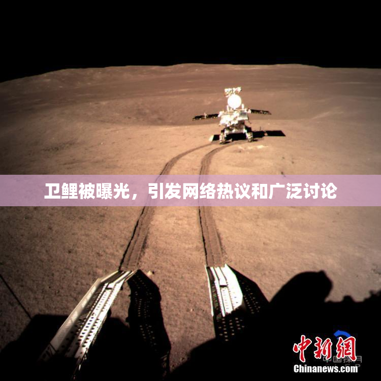 卫鲤被曝光，引发网络热议和广泛讨论