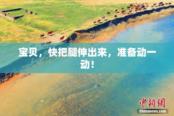宝贝，快把腿伸出来，准备动一动！