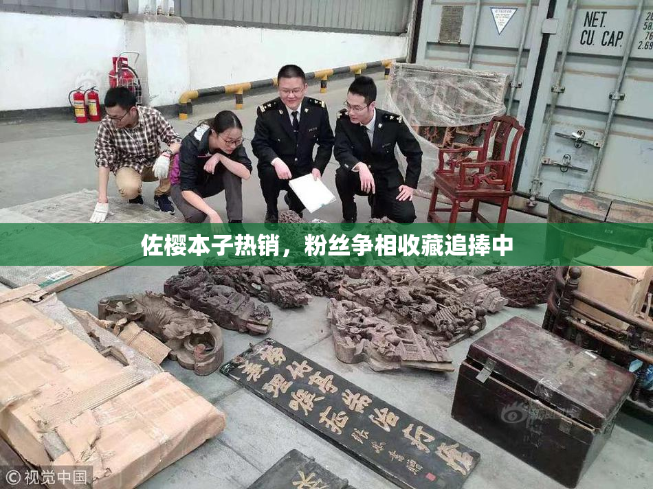 佐樱本子热销，粉丝争相收藏追捧中