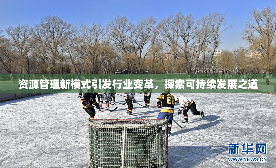 资源管理新模式引发行业变革，探索可持续发展之道