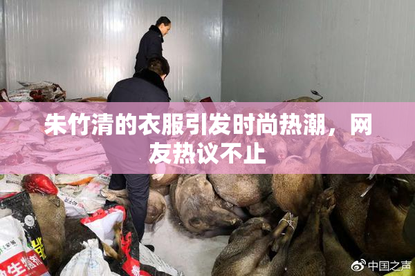朱竹清的衣服引发时尚热潮，网友热议不止