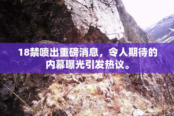 18禁喷出重磅消息，令人期待的内幕曝光引发热议。