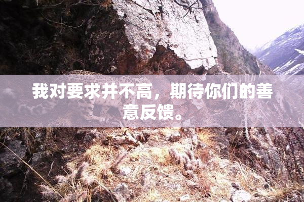 我对要求并不高，期待你们的善意反馈。