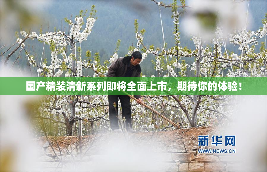 国产精装清新系列即将全面上市，期待你的体验！