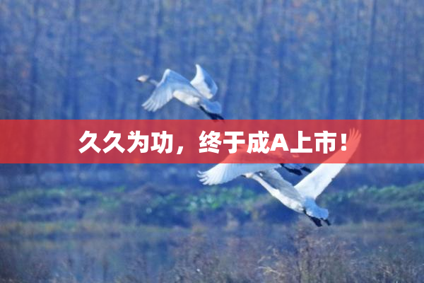 久久为功，终于成A上市！