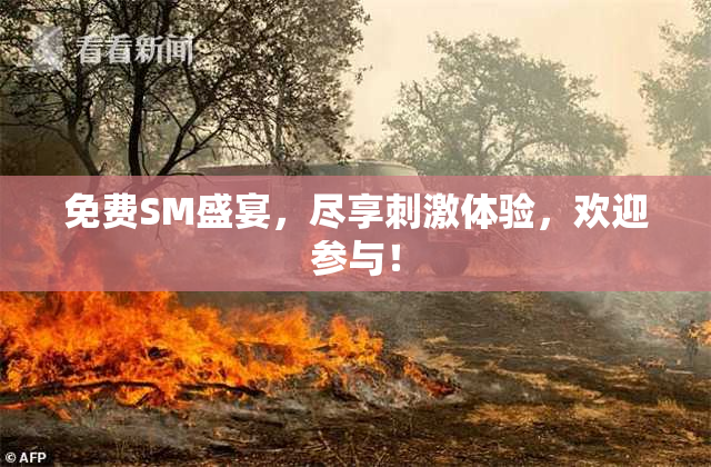 免费SM盛宴，尽享刺激体验，欢迎参与！