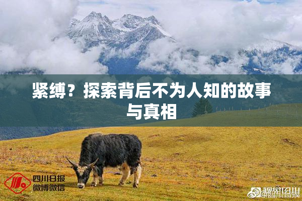 紧缚？探索背后不为人知的故事与真相