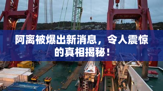 阿离被爆出新消息，令人震惊的真相揭秘！
