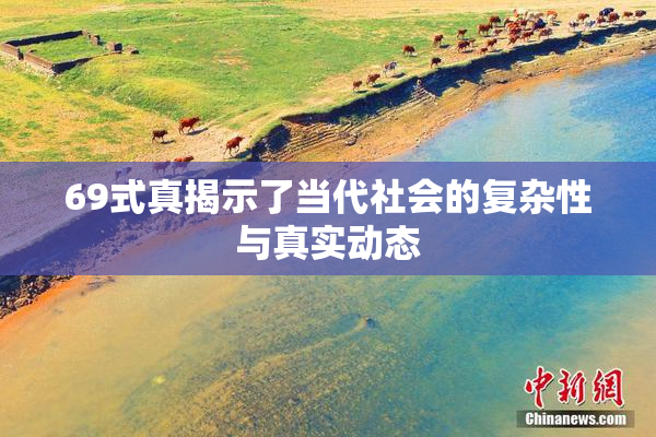 69式真揭示了当代社会的复杂性与真实动态