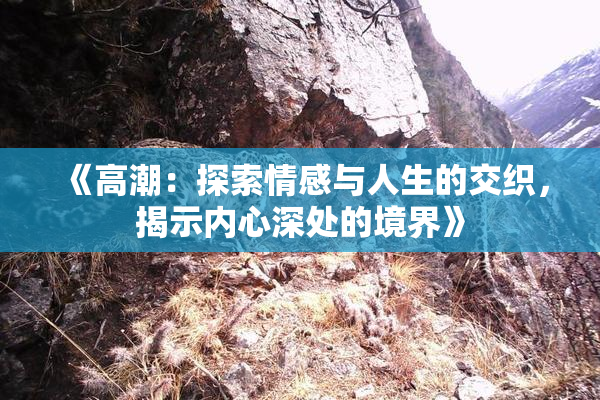 《高潮：探索情感与人生的交织，揭示内心深处的境界》