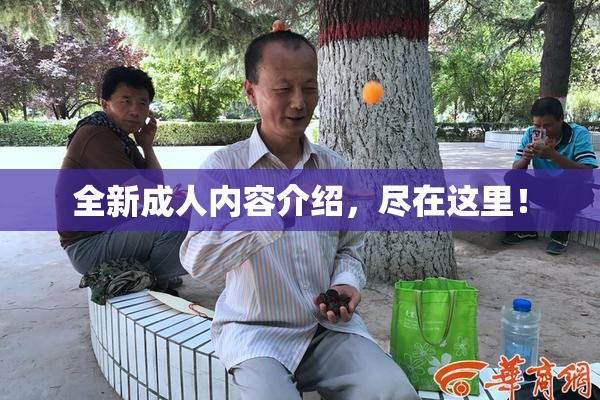 全新成人内容介绍，尽在这里！