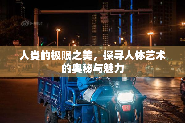 人类的极限之美，探寻人体艺术的奥秘与魅力