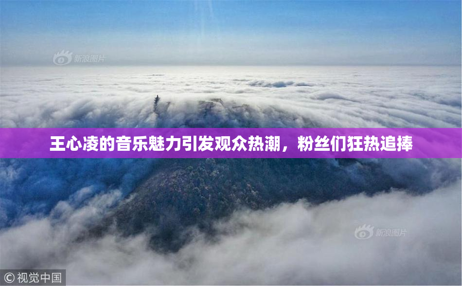 王心凌的音乐魅力引发观众热潮，粉丝们狂热追捧