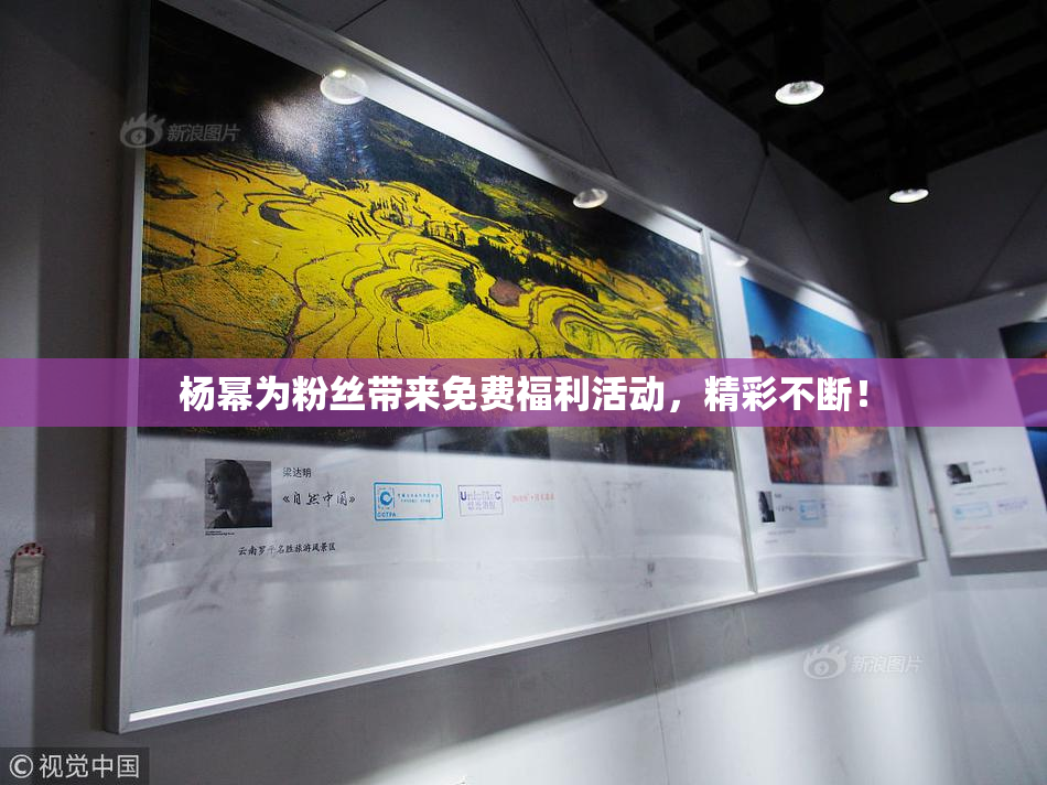 杨幂为粉丝带来免费福利活动，精彩不断！