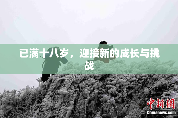 已满十八岁，迎接新的成长与挑战