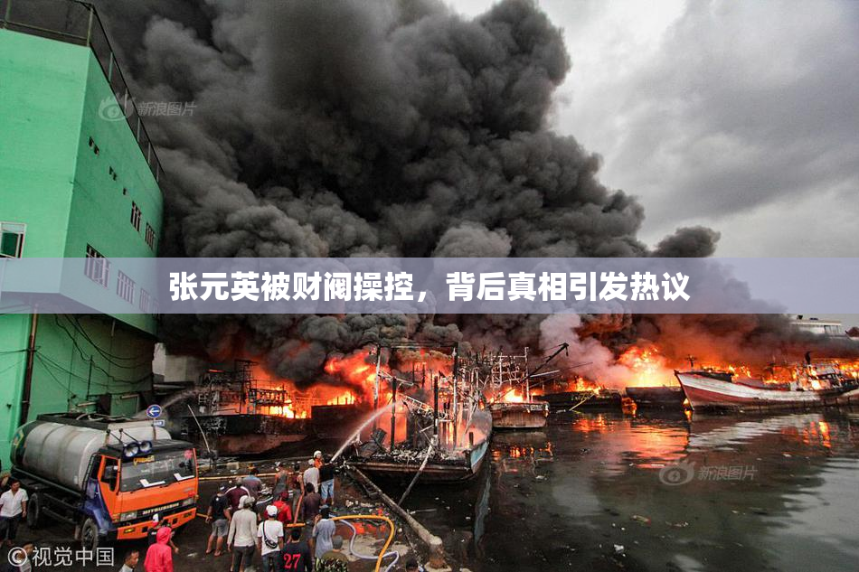 张元英被财阀操控，背后真相引发热议