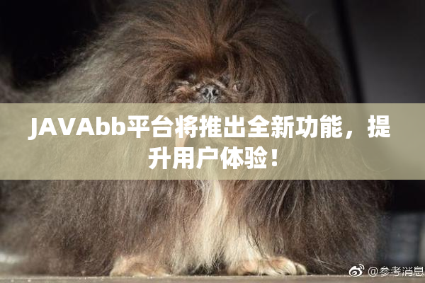 JAVAbb平台将推出全新功能，提升用户体验！