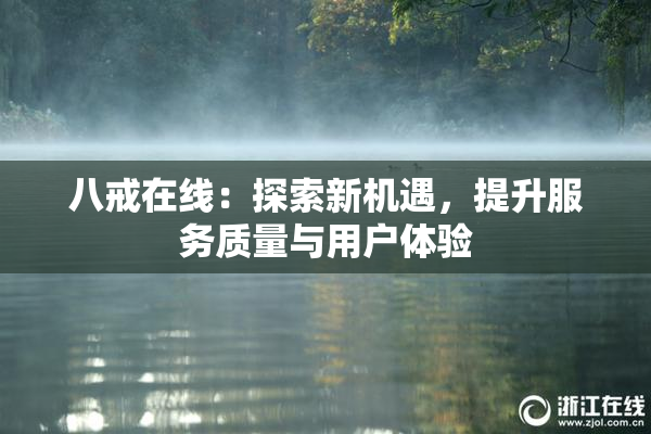 八戒在线：探索新机遇，提升服务质量与用户体验